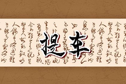 2025年07月30日提车可不可以？ 今日提新车好吗