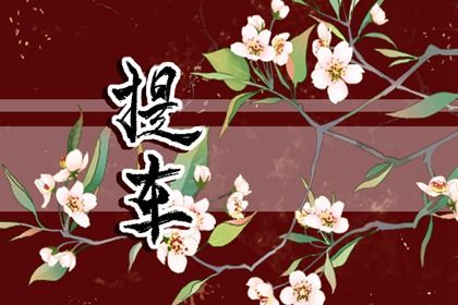 2025年05月11日提车能算好日子吗？ 今日提新车好吗