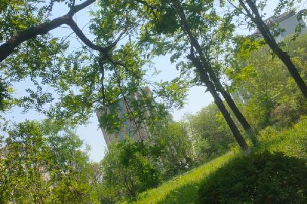 为什么孟夏是农历几月?你知道它的特殊含义吗? 为什么孟夏是农历几月?你知道它的特殊含义吗?