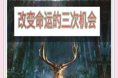 7月5日运势大爆发：抓住机会，改变命运