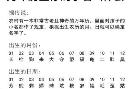 东方万年历v9：穿越时空的日历传奇，全新升级等你探索