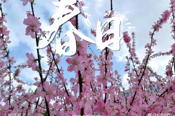 3月23日,春季最值得期待的浪漫邂逅日 3月23日,春季最值得期待的浪漫邂逅日