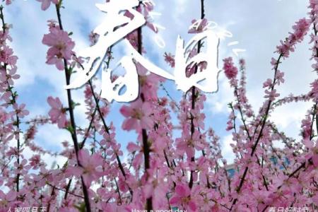 3月23日，春季最值得期待的浪漫邂逅日