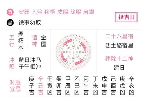 鼠冲马在线万年历:一网打尽,全年日期全解析 鼠冲马在线万年历:一网打尽,全年日期全解析