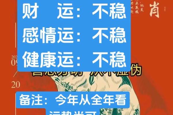 狗年财运亨通:属狗人必看的一年运势详解 狗年财运亨通:属狗人必看的一年运势详解