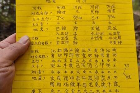 2017年天干地支运势宝典：揭秘你的运势密码