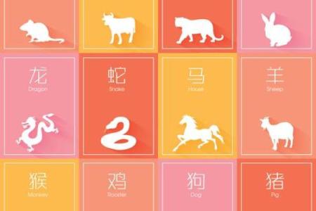 十二生肖运势大揭秘：吉凶吉日一览无遗