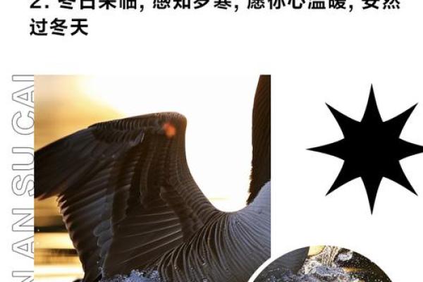 立冬来临,手机万年历陪你温暖过冬 立冬来临,手机万年历陪你温暖过冬
