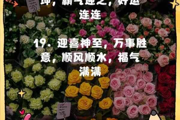 喜神相伴,黄道吉日精选,好运连连指南 喜神相伴,黄道吉日精选,好运连连指南