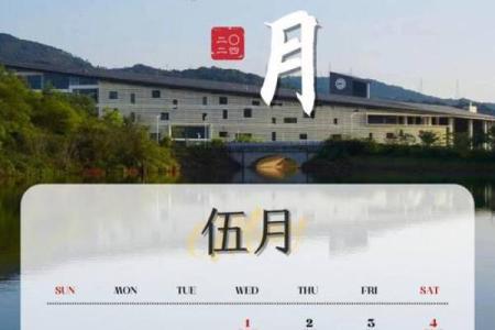黄道吉日精选：中年万年历助你一臂之力，轻松应对人生挑战