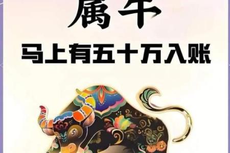 属牛必看：万年历揭秘牛年运势大揭秘