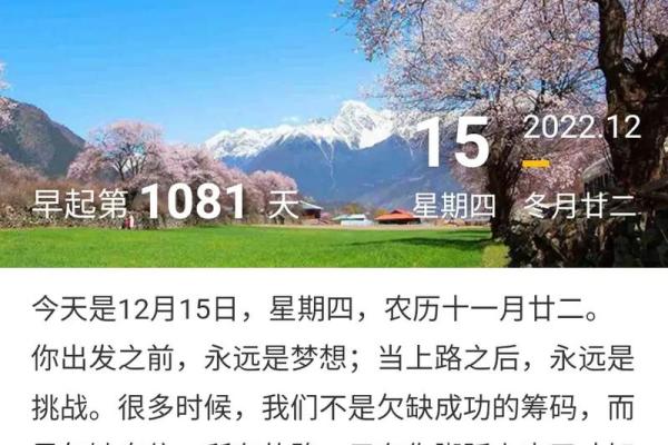 揭秘农历十五出生者的命运轨迹,成功与挑战并存 揭秘农历十五出生者的命运轨迹,成功与挑战并存