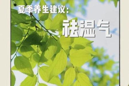 万年历计算法大公开，一学就会，告别时间困扰